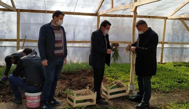 ORGANİK TARIM ATÖLYESİ İLK ÜRÜNLERİNİ VERMEYE BAŞLADI