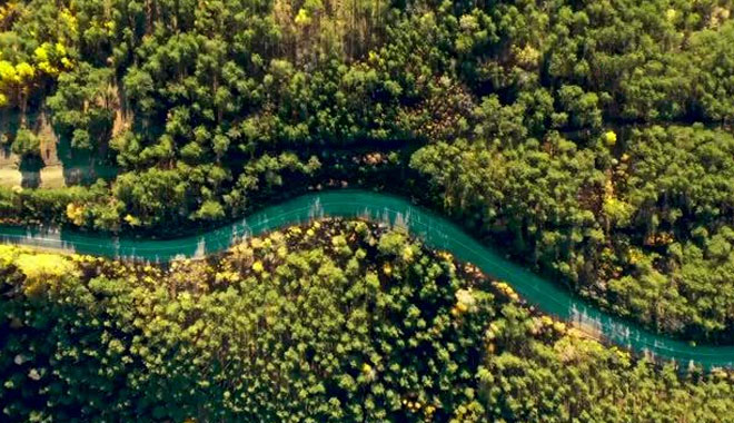 AKDAĞ ORMANLARINDA KARTPOSTAL GİBİ SONBAHAR MANZARALARI