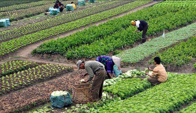 1 kasım on numara sonuçları 11. YOZGAT TARIM GIDA VE HAYVANCILIK FUARI BAŞLADI
