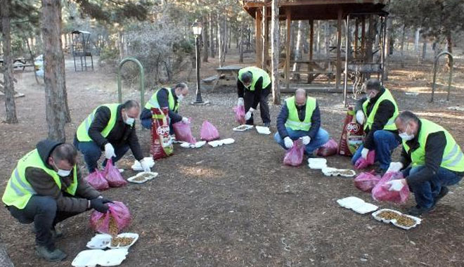 KENTTE YAŞAYAN SOKAK HAYVANLARINA VALİLİKTEN ‘MAMA’ ZİYAFETİ