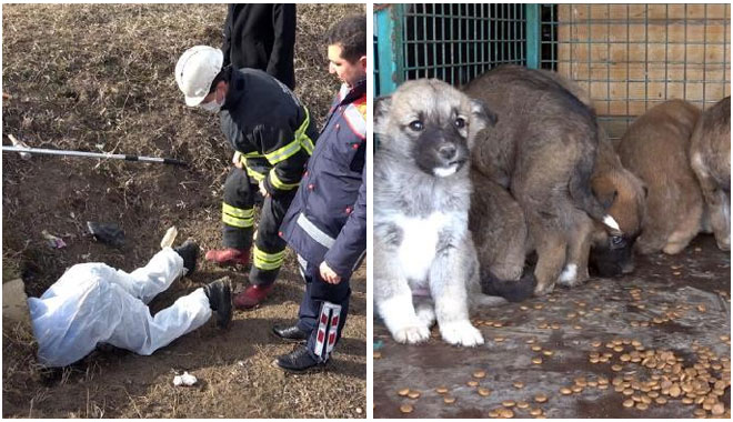 MENFEZDE MAHSUR KALAN KÖPEK YAVRULARINI İTFAİYE KURTARDI