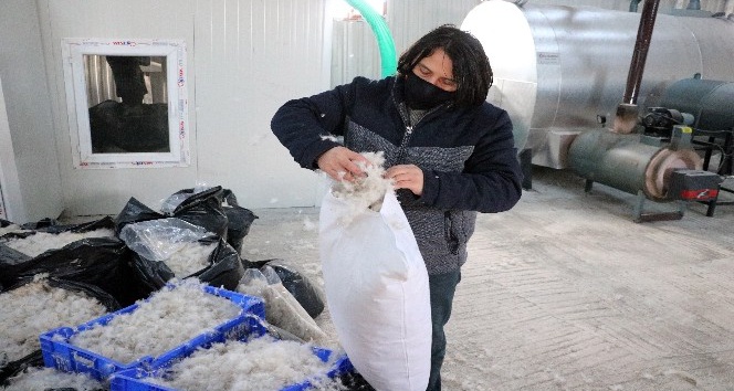 YOZGAT’TAN ALMANYA ve MACARİSTANA KAZ TÜYÜ İHRACAATI