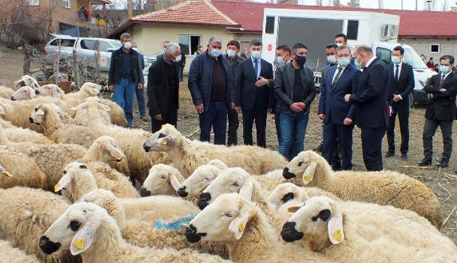 YOZGAT'TA 48 BESİCİYE 100’ER KOYUN TESLİM TÖRENİ