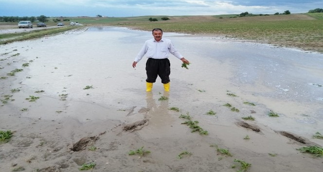 YENİPAZARDA YAĞMUR SELE DÖNÜŞTÜ. TARIM ALANLARI ZARAR GÖRDÜ