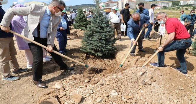 ŞEHİTLERİMİZİN ADI HATIRA ORMANINDA YAŞATILACAK