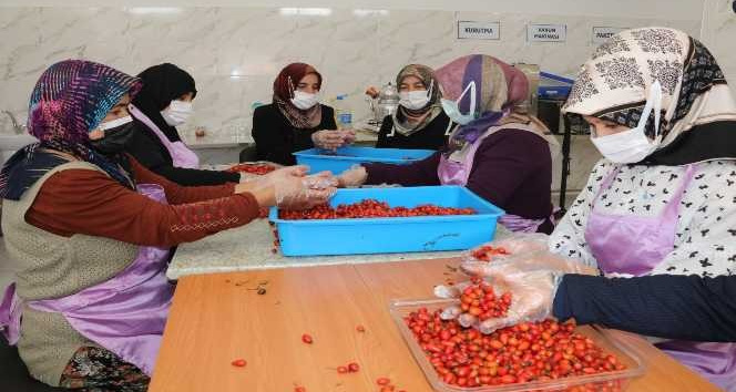 YÖRESEL ÜRÜNLERE DEĞER KATARKEN GEÇİMLERİNİ DE SAĞLIYORLAR