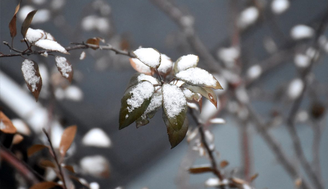 METEOROLOJİDEN  ‘YOZGAT’  DAHİL 4 İL’DE ‘DON’ UYARISI