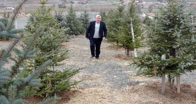 ‘OKSİJEN ADAM’ ÖMRÜ BOYUNCA FİDAN DİKME KARARINDA