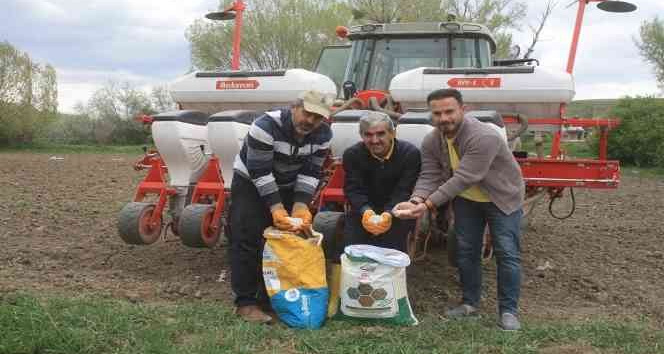 BAKLAGİLLERDE ÇEŞİTLİLİĞİ ARTIRMAYA YÖNELİK DENEME EKİMİ
