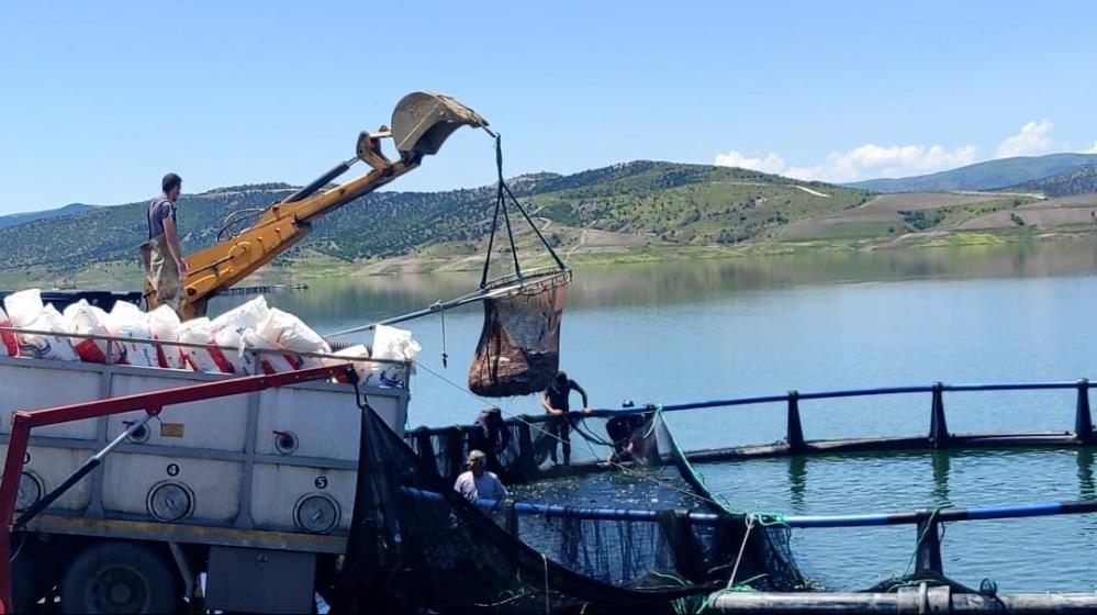 AVRUPA ve UZAKDOĞU ÜLKELERİNE İHRAÇ EDİLİYOR