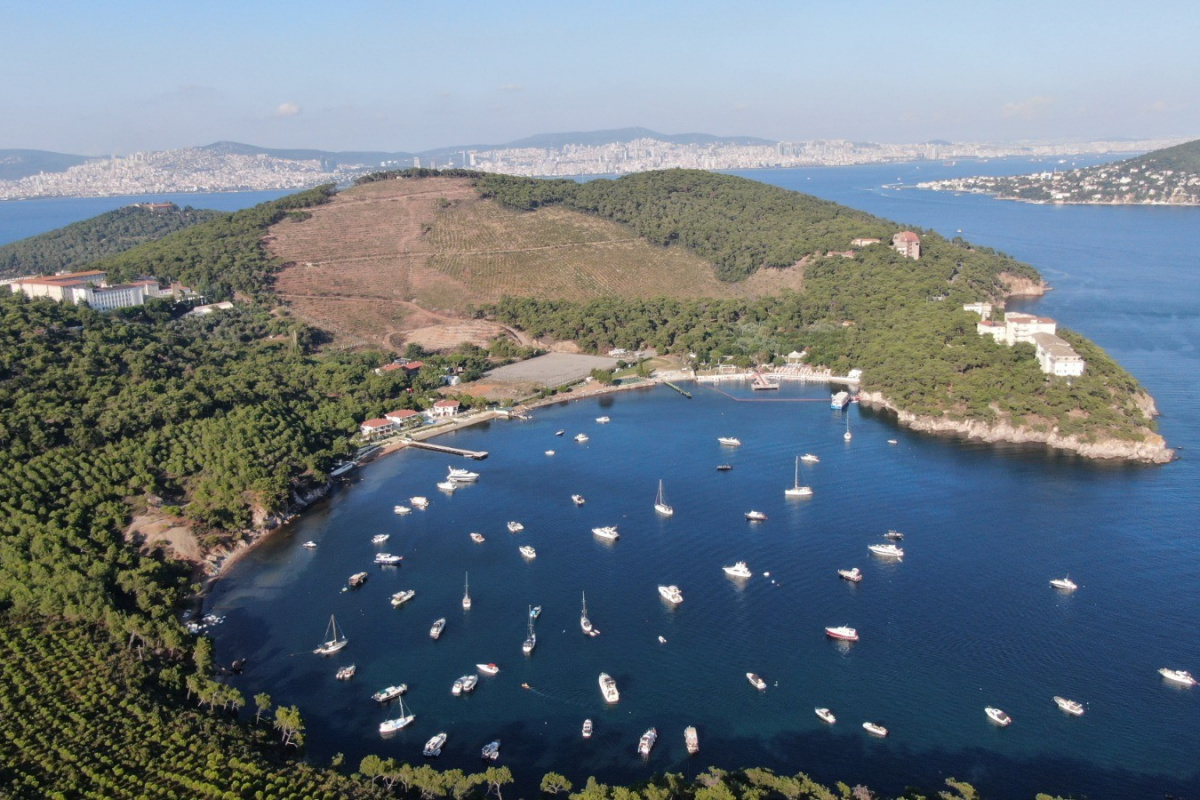 Heybeliada’da yanan ormanlık alan 1. yıl dönümünde eski yeşil görünümüne kavuşuyor