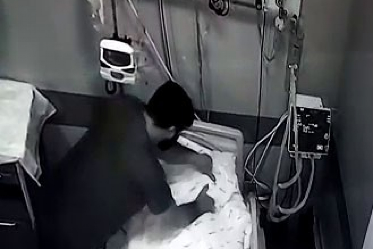Bakan Koca, Tokat’ta bir hastanın kötü muamele gördüğü özel hastanenin faaliyetlerinin durdurulduğunu açıkladı