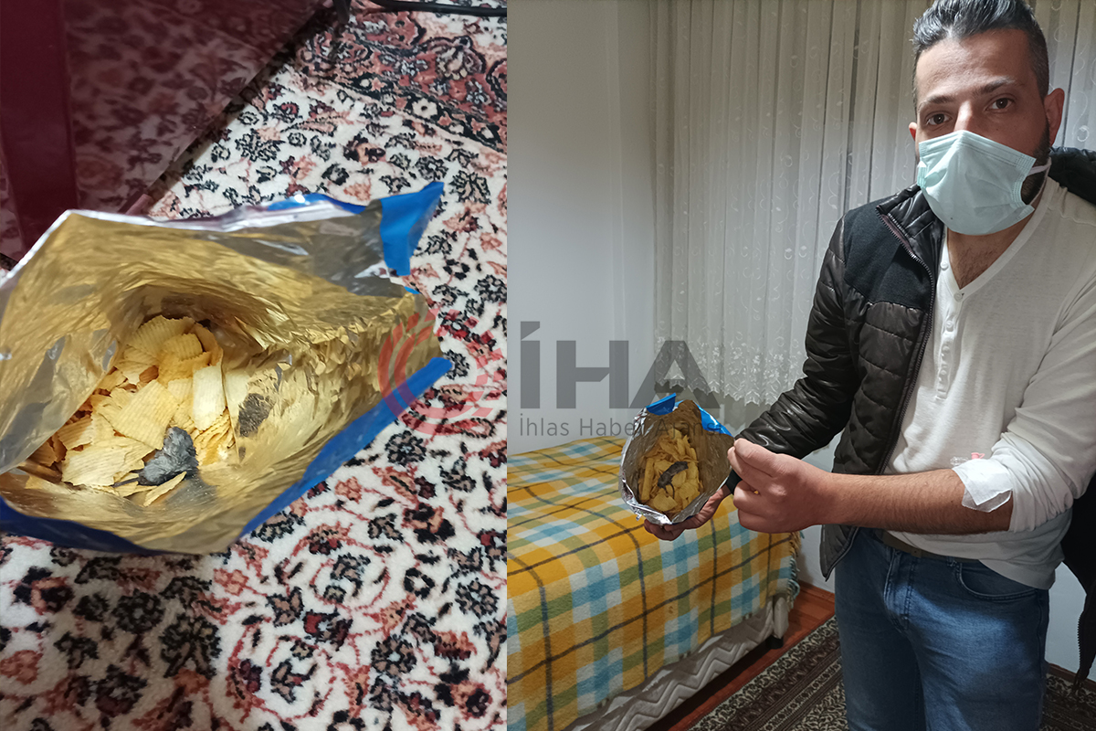 Cips poşetindeki fareye takipsizlik