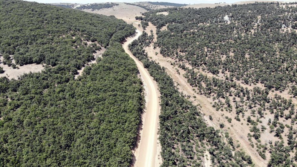 ÖZÜKAVAK BELESİNDE 5 KİLOMETRELİK YAYLA YOLU ULAŞIMA AÇILDI