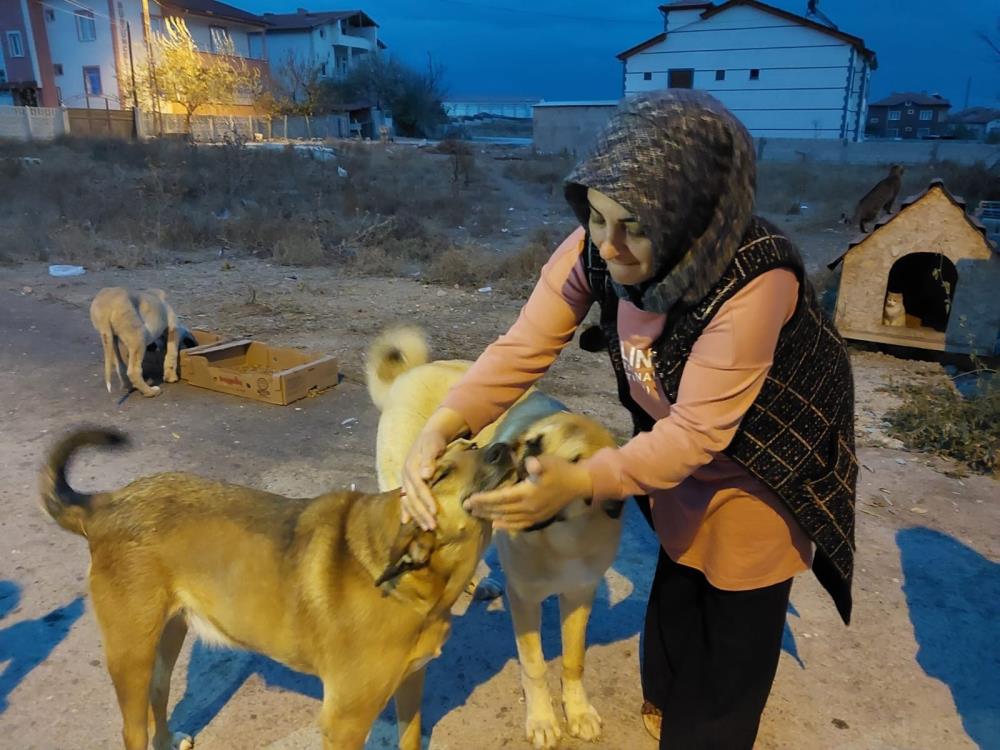 SONYA HANIM BAKIMA MUHTAÇ KÖPEKLERE DAİMA SAHİP ÇIKIYOR