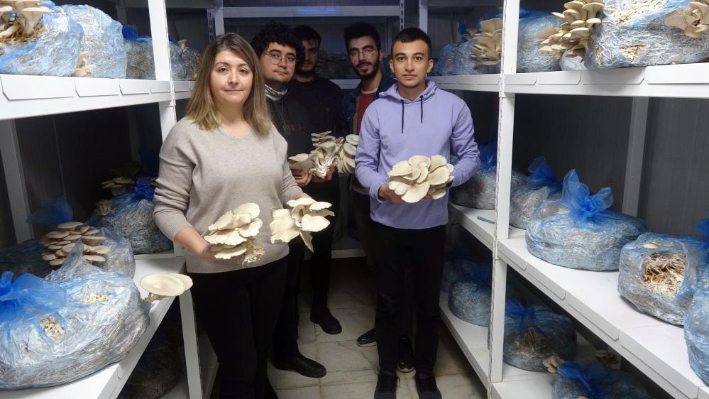 ZİRAAT FAKÜLTESİNDE ÖĞRENCİLERE VE ÜRETİCİLERE MANTAR EĞİTİMİ