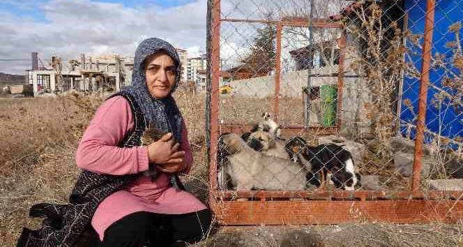 SORGUN’DA 80 SOKAK HAYVANINA HERGÜN GÖZÜ GİBİ BAKIYOR