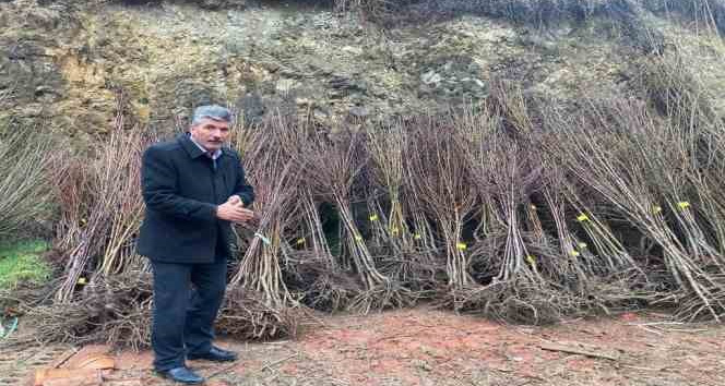 AKDAĞMADENİ’NDE MALİYETİNE MEYVE FİDANI SATIŞI BAŞLADI