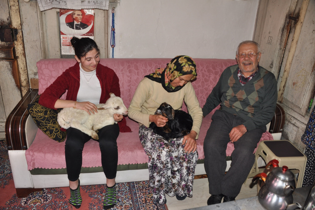 Yeni doğan kuzu ve oğlak üşümesin diye evlerinde bakıyorlar