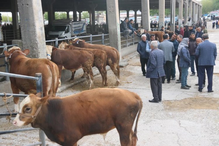 BOĞAZLIYAN HAYVAN PAZARI ŞAP İHTİMALİ NEDENİYLE KAPATILDI