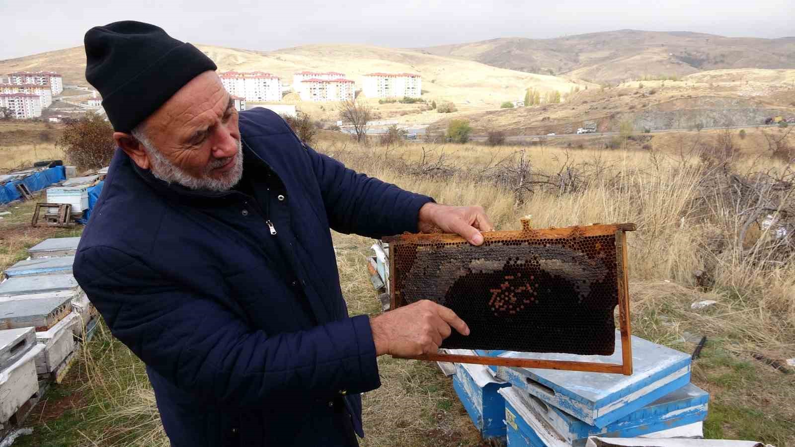 YOZGAT’TA 15 BİN KOVANDA BAL ÜRETİMİ ZARAR GÖRDÜ