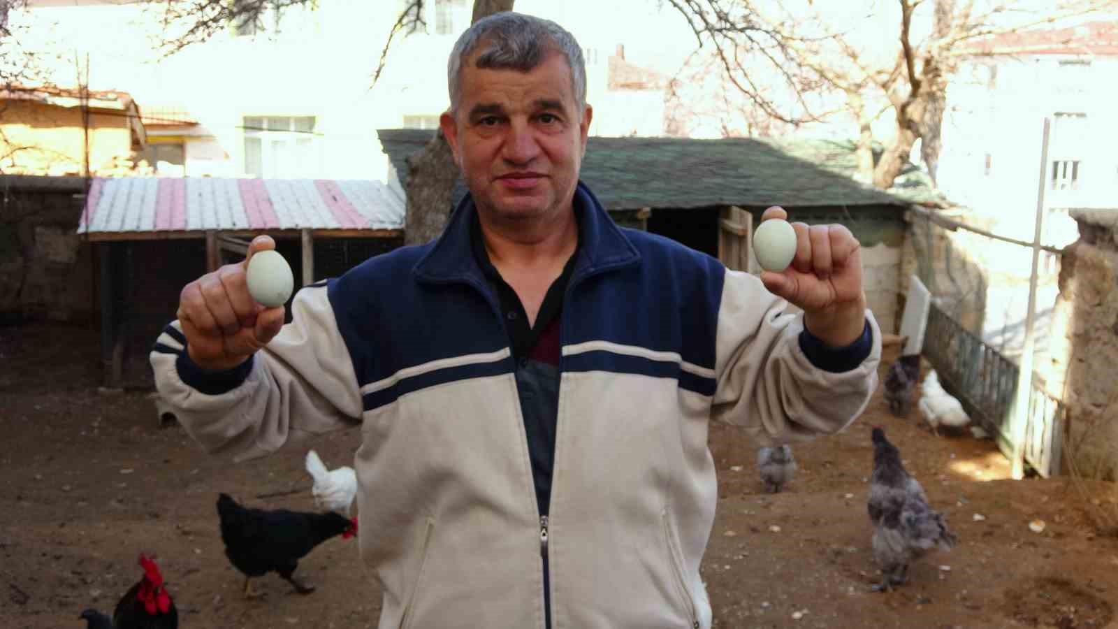 YOZGAT'TA YEŞİL YUMURTANIN TANESİ 20 LİRADAN SATILIYOR