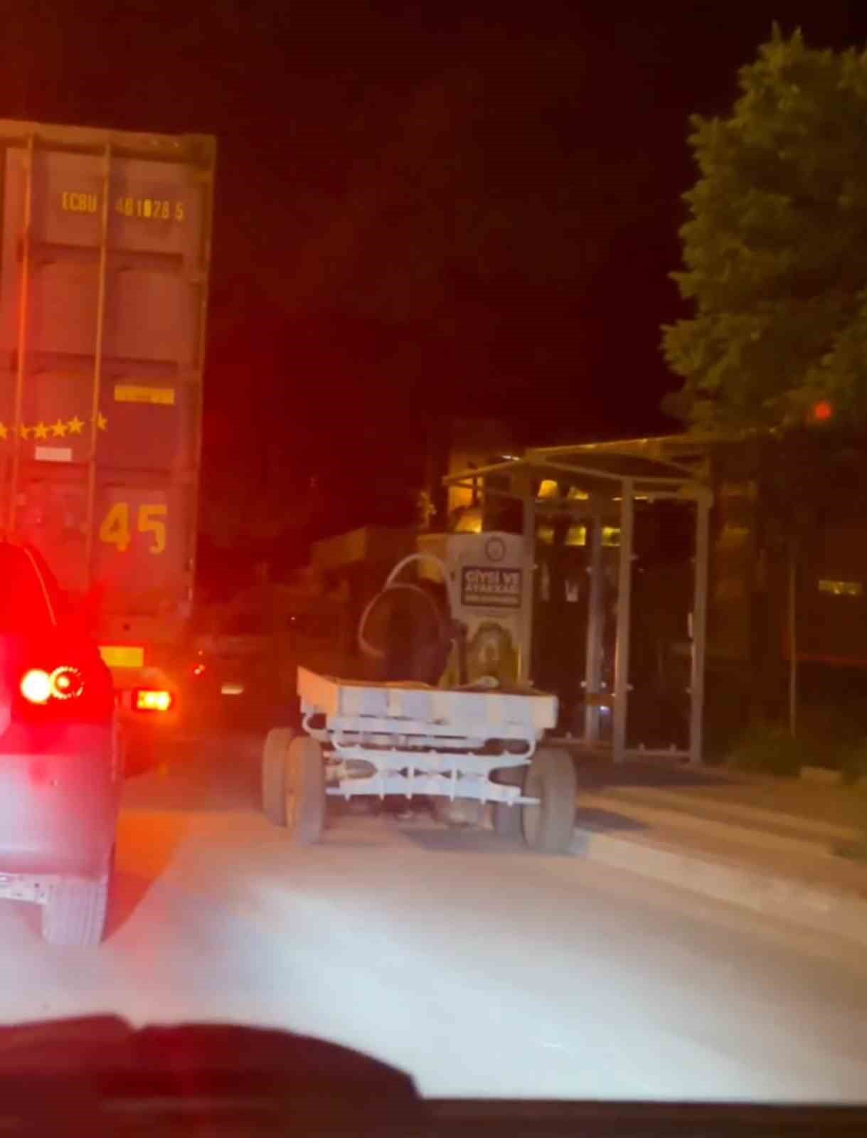 BAŞIBOŞ AT ARABASI ŞEHİR TURU ATTI, GÖRENLER ŞAŞTI KALDI