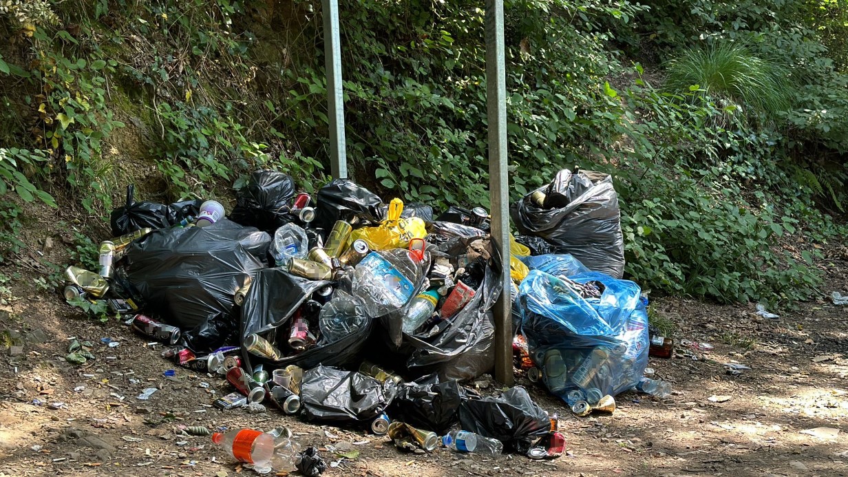 PİKNİKÇİLER BELGRAD ORMANI’NI ÇÖP YIĞININA ÇEVİRDİ 