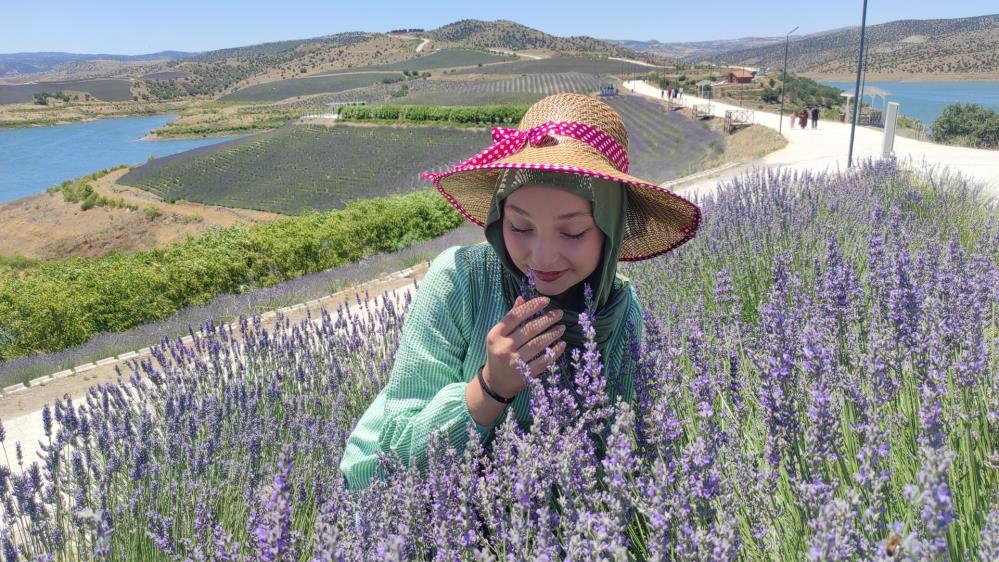 YOZGAT’IN ÇEKEREK BOZKIRINI GÜZELLEŞTİREN ‘MOR’ ŞÖLEN