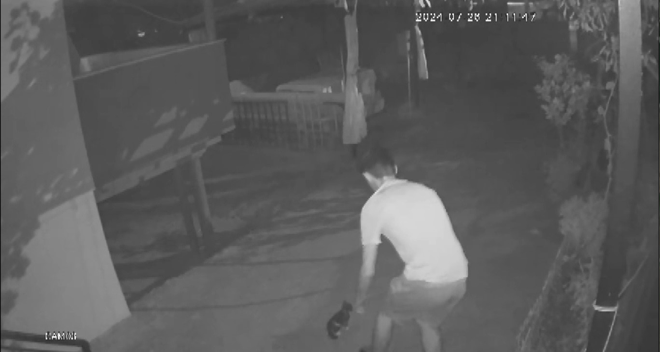 ŞORTLU, TERLİKLİ, RAHAT TAVIRLI YAVRU KEDİ HIRSIZI KAMERADA