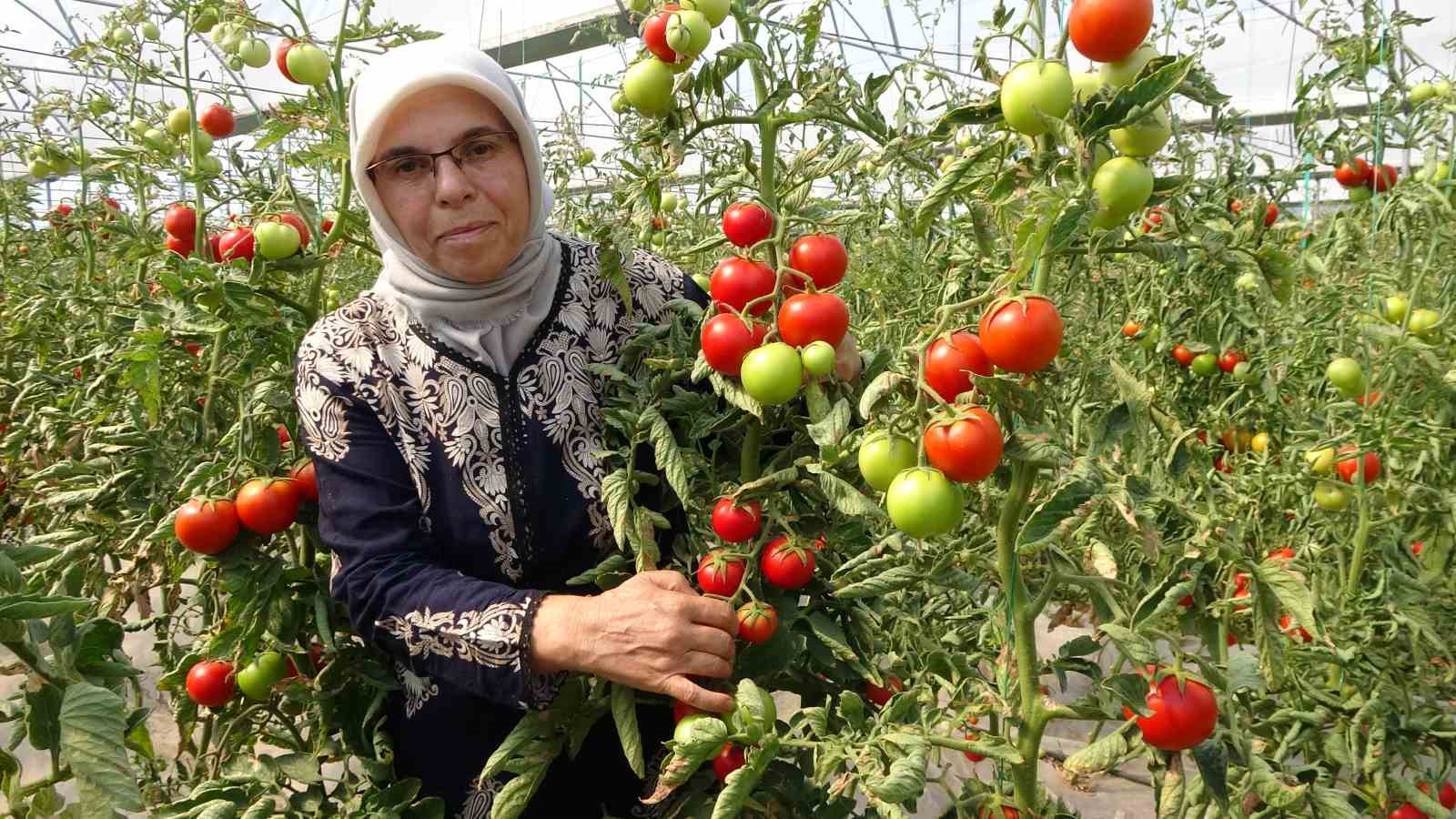 EŞİYLE BİRLİKTE SERA KURDU..ÜRETİMİYLE SORGUNDA ÖRNEK OLDU