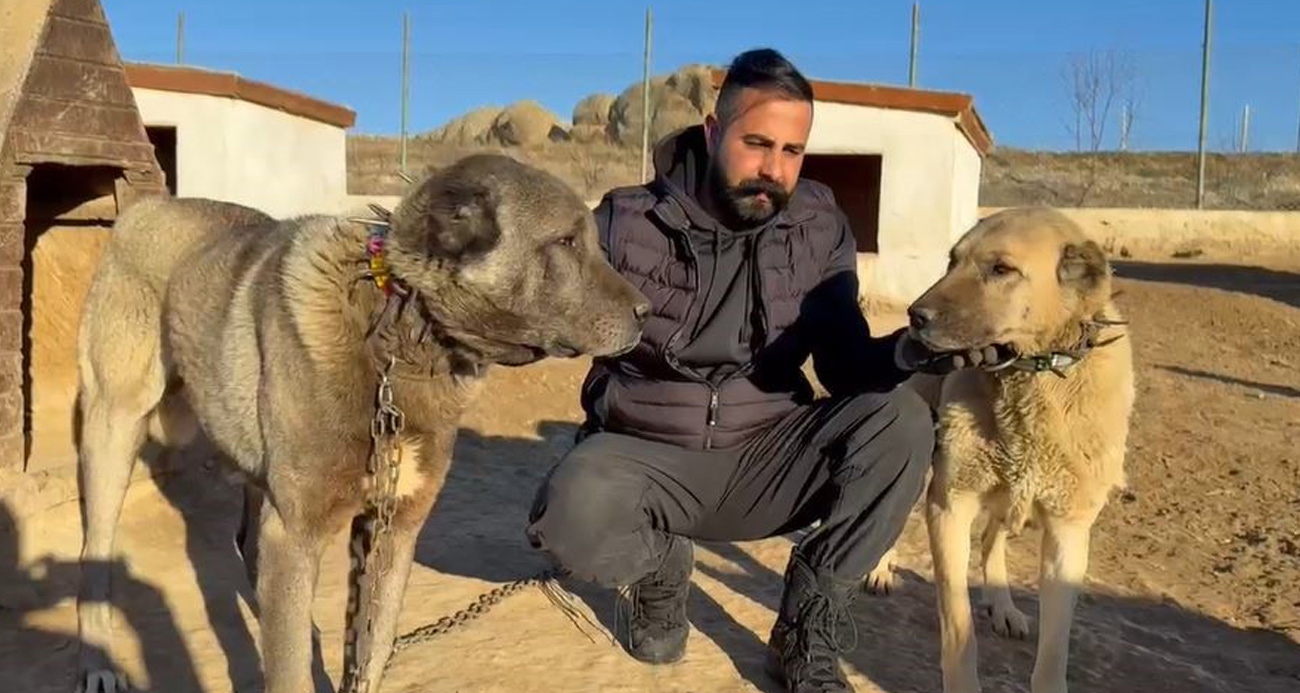 ARAP ÜLKELERİ DÜNYAYA NAM SALAN KANGALLARA TALİP OLDU