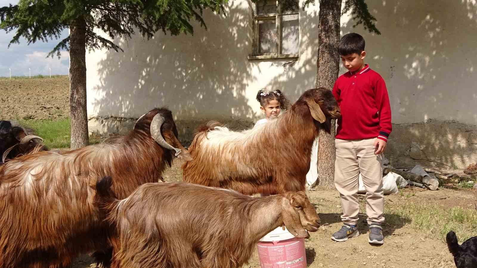 11 YAŞINDAKİ EMİR ALİ BURSLULUK SINAVINI 500 PUANLA KAZANDI
