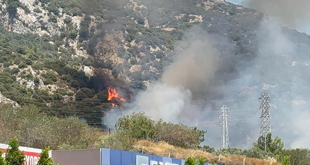 BODRUM’DA MAKİLİK VE ORMANLIK ALANDA YANGIN ÇIKTI