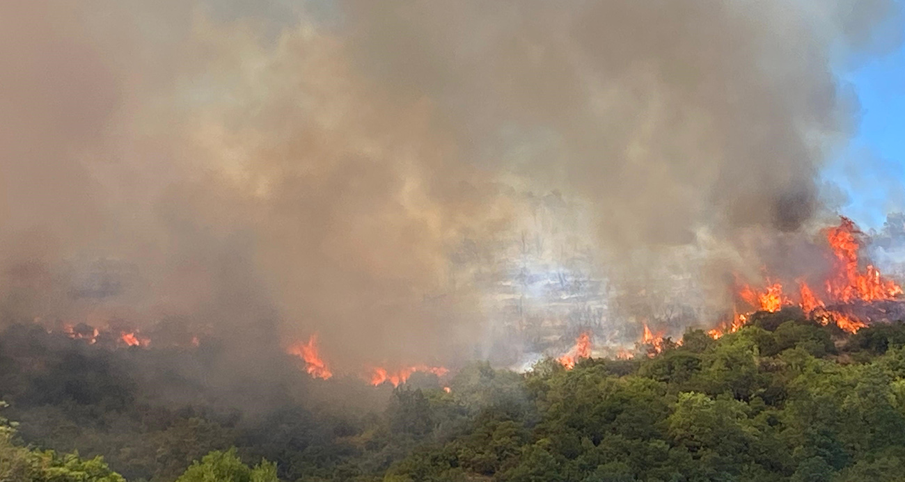 KOCAELİ’DE ORMAN YANGINI 