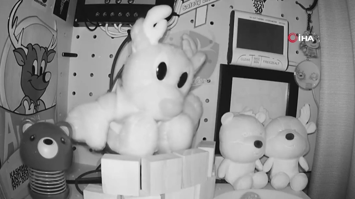 JAPONYA'DA 6,7 BÜYÜKLÜĞÜNDE DEPREM: TSUNAMİ UYARISI YAPILDI