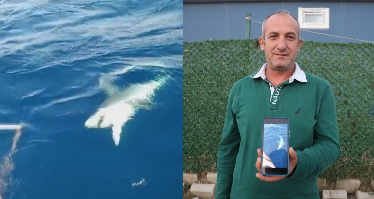 AMATÖR BALIKÇILAR KÖPEK BALIĞINDAN 1 SAAT SÜREN MÜCADELEYLE KURTULDU, O ANLAR KAMAREYA YANSIDI