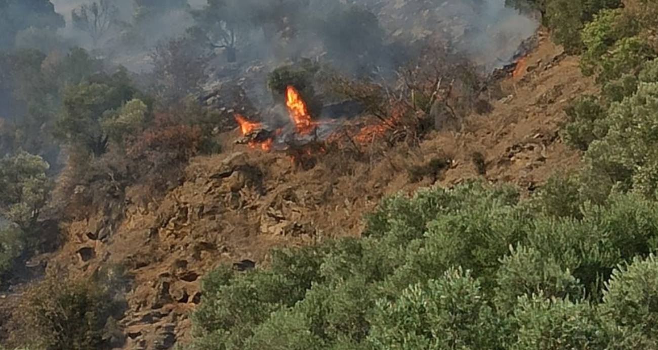 BOZDOĞAN’DA ORMAN YANGINI 