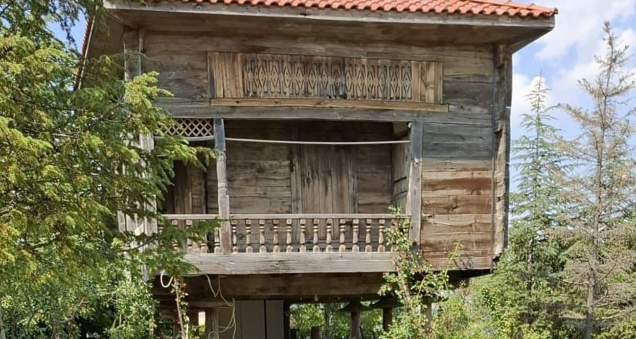 ANKARA’DA 200 YILLIK SERENDER KÜL OLDU 