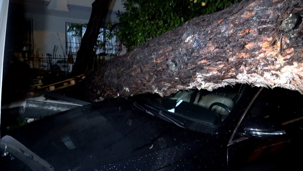 ANTALYA’DA YAĞMUR VE ŞİDDETLİ RÜZGAR 10 METRELİK AĞACI DEVİRDİ: İKİ ARAÇ VE BİNA ZARAR GÖRDÜ 