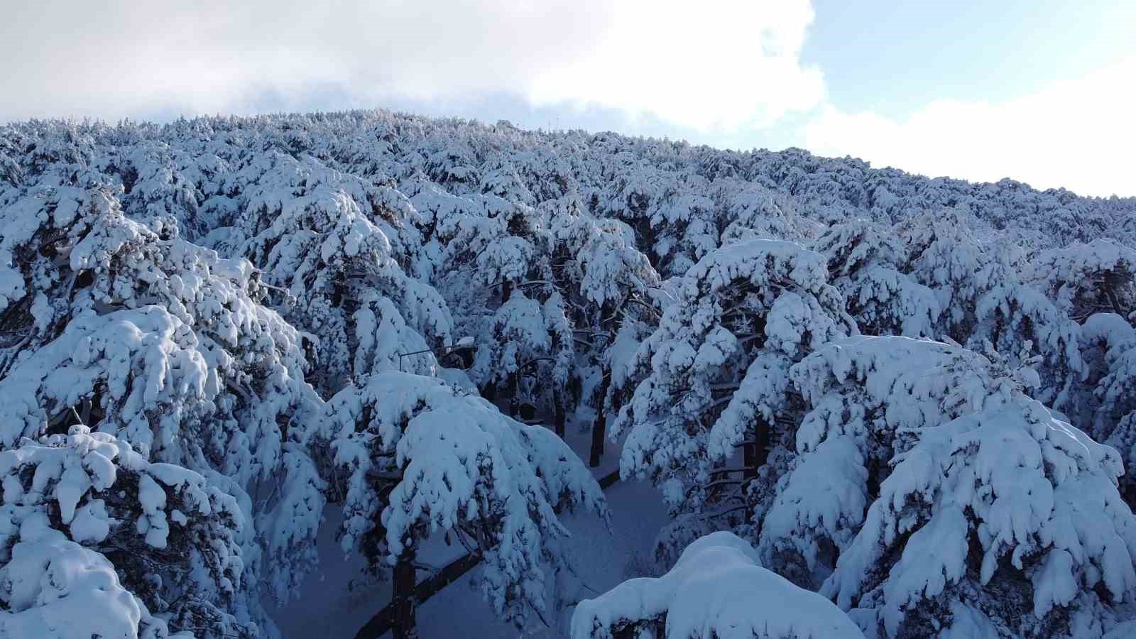 TÜRKİYE’NİN İLK MİLLİ PARKI ÇAMLIK’TA KAR MANZARASI HAVADAN GÖRÜNTÜLENDİ 