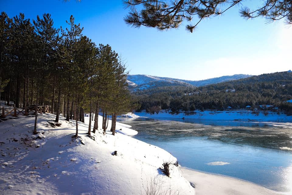 YOZGAT KÜLTÜR MÜDÜRLÜĞÜNDEN ÇAMLIK VİDEO YARIŞMASI