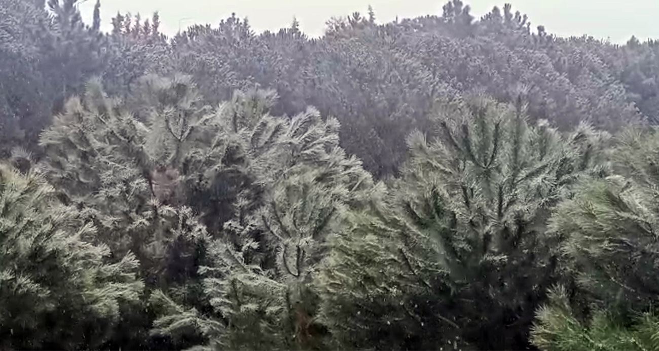 İSTANBUL’DA YÜKSEK KESİMLERDE KAR YAĞIŞI BAŞLADI 