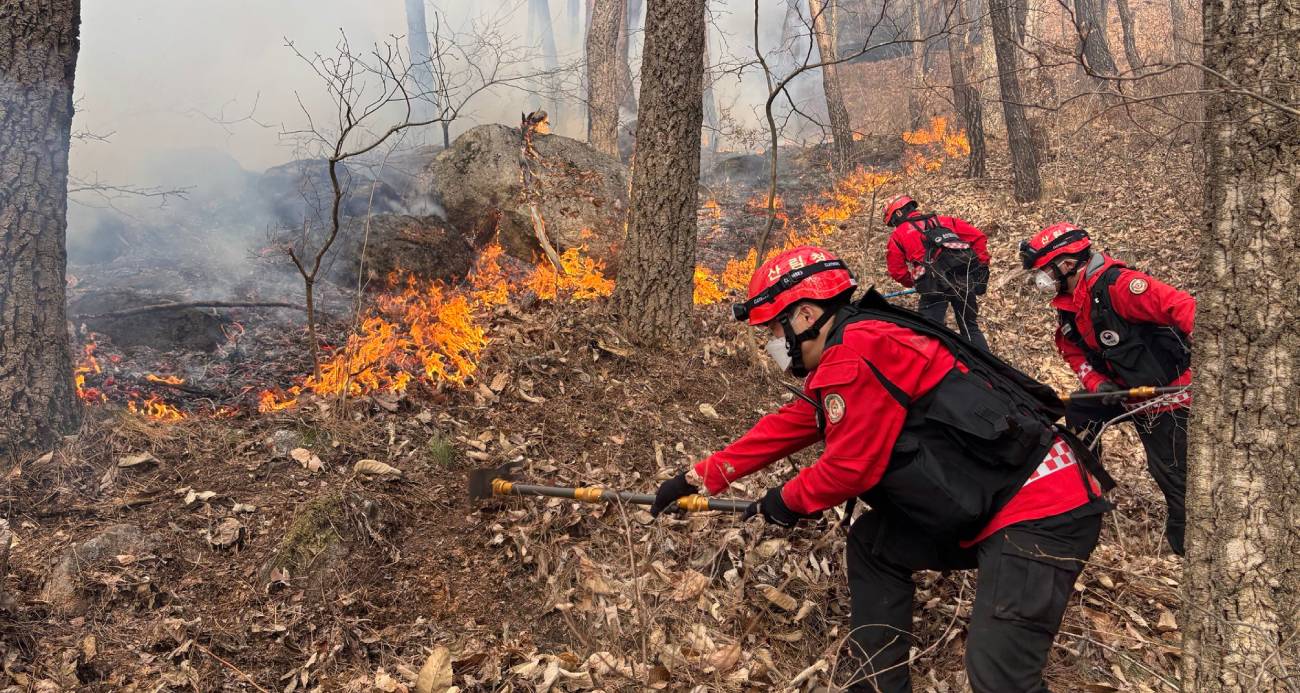 GÜNEY KORE’DE 3 GÜNDÜR DEVAM EDEN ORMAN YANGININDA 190 HEKTARLIK ALAN KÜLE DÖNDÜ