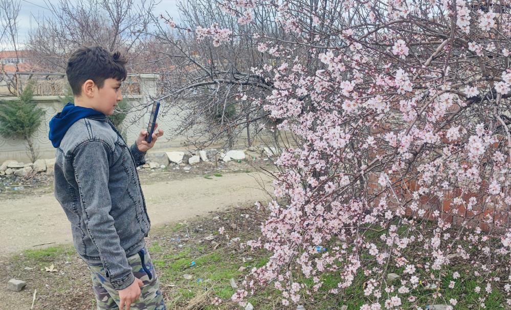 İŞTE,YALANCI BAHARIN YOZGAT’TAKİ FOTOĞRAFI