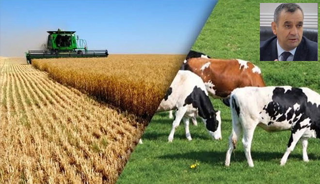 ADIGÖZEL :ÇİFTÇİYİ DESTEK PAKETLERİ KALICI ÇÖZÜMLER ÜRETMİYOR