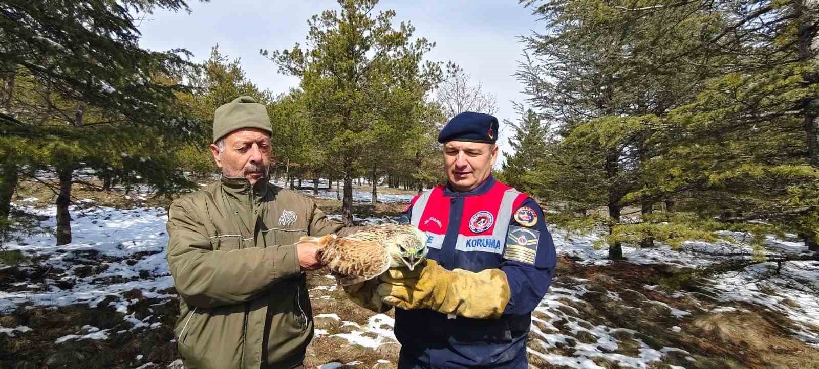 YARALI ŞAHİN’E JANDARMA EKİPLERİNDEN YARDIM ELİ
