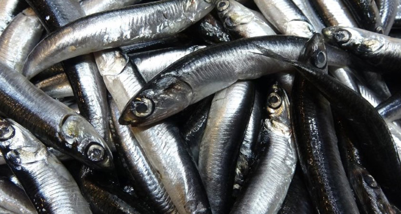 SAVAŞ HALİNDEKİ ÜLKE İHRACATTA İLK SIRAYI ALDI 