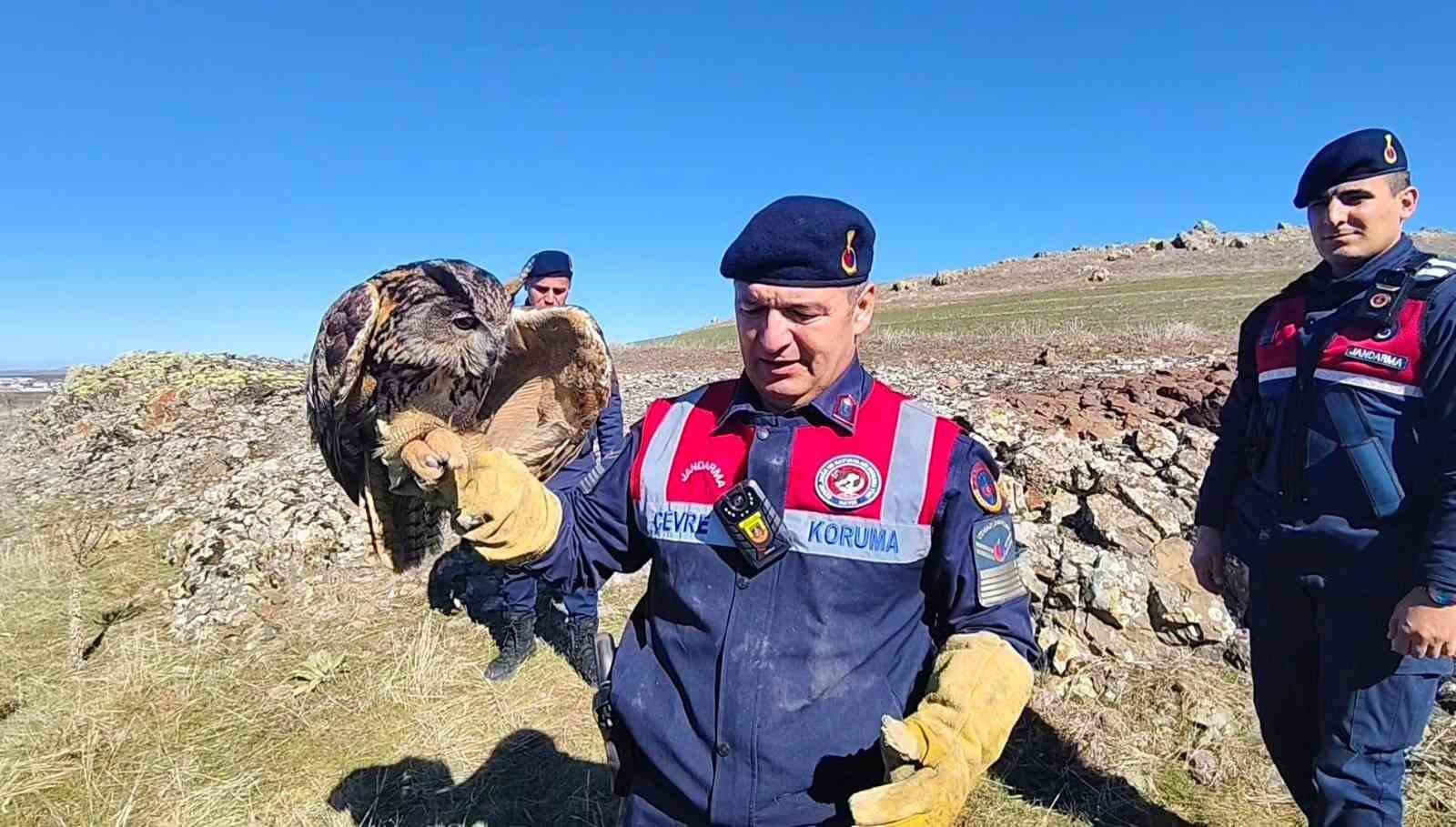 YOZGAT’TA YARALI PUHU KURTARILDI 