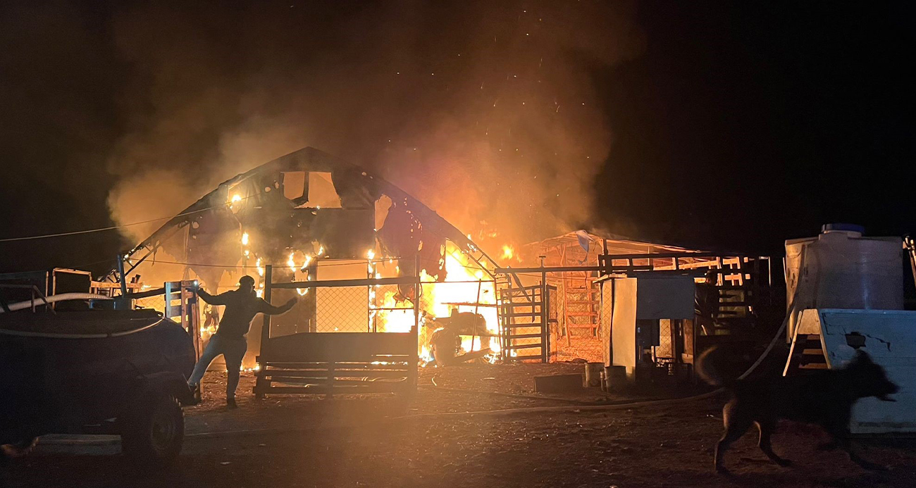 BURSA’DA ÇİFTLİKTE YANGIN: 580 KANATLI HAYVAN TELEF OLDU